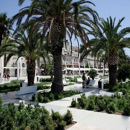 Bed & Breakfast Skynight